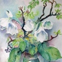 Kastanje takken en amarilles 1