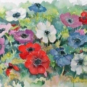 Anemonen 1