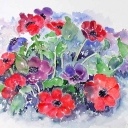 aquarel_bloemen14